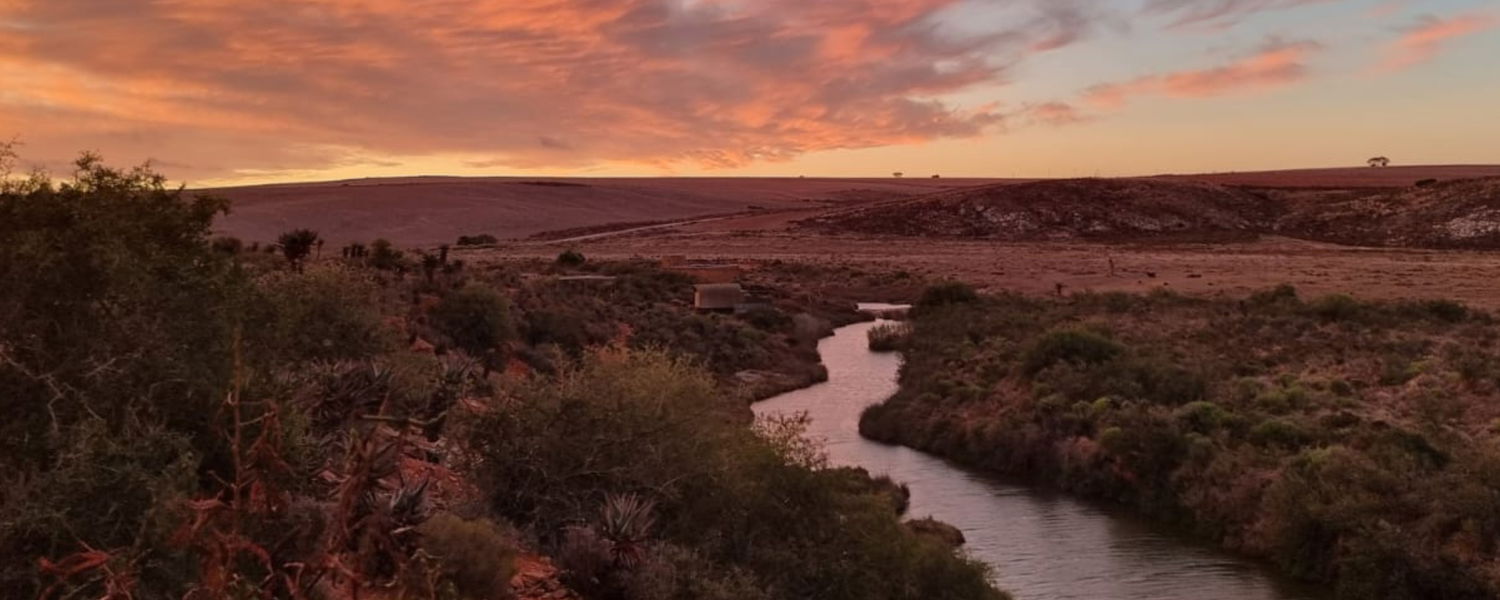 Pet friendly accommodation Swellendam Western Cape self catering by the river nature reserve