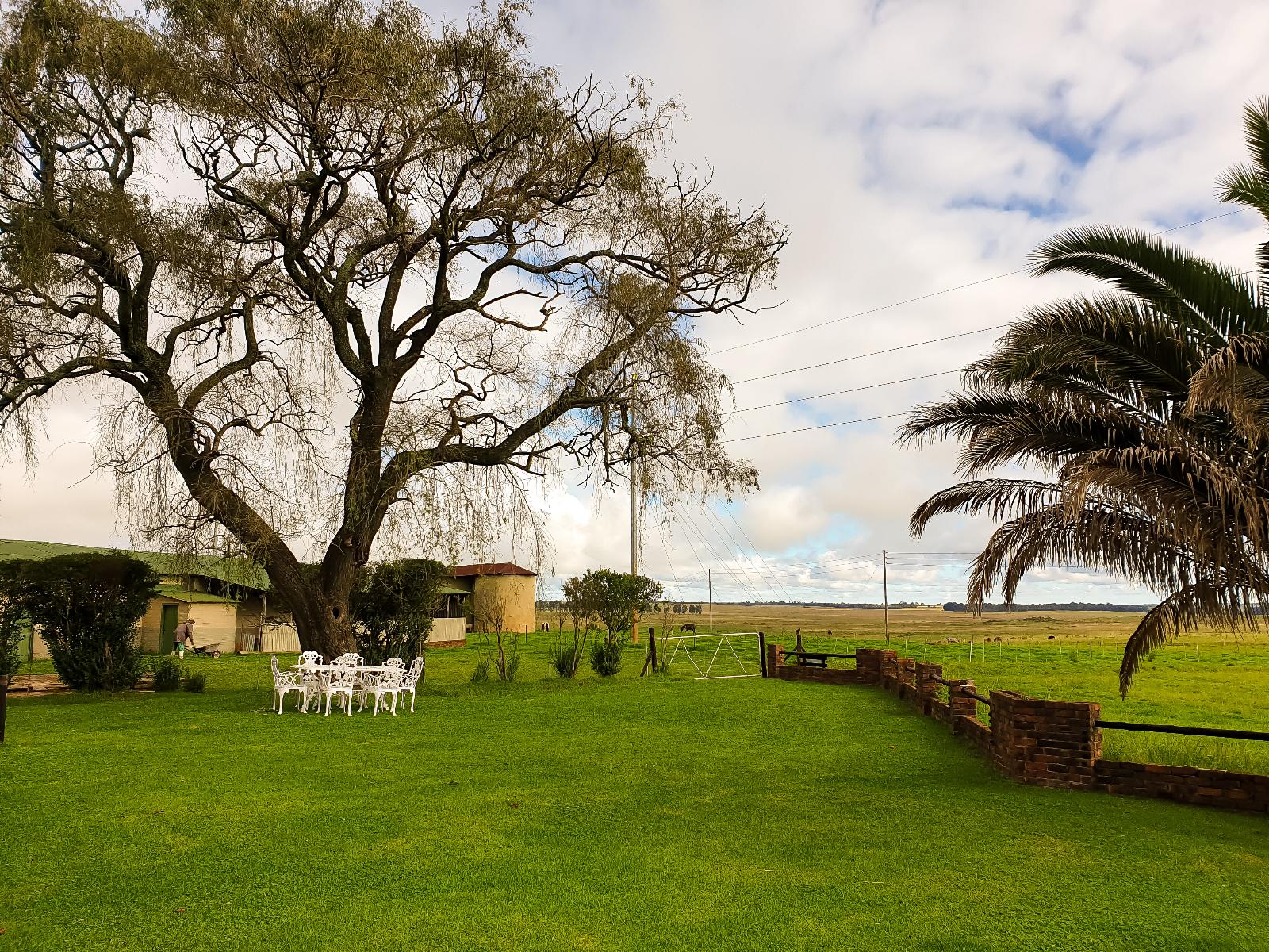a pet-friendly sanctuary in Dullstroom, nestled in the heart of Mpumalanga, with fenced garden