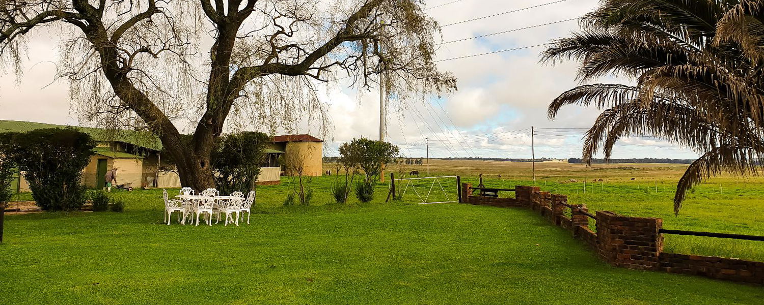 a pet-friendly sanctuary in Dullstroom, nestled in the heart of Mpumalanga, with fenced garden