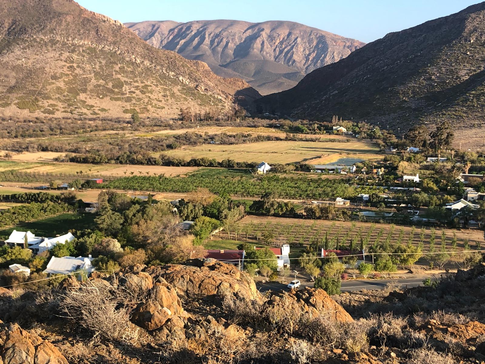 Pet Friendly Accommodation in Western Cape Prince Albert on a farm with cottage that is individually fenced. 