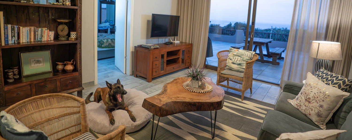 Pet-Friendly Beach Accommodation in Amanzimtoti, KwaZulu-Natal 4