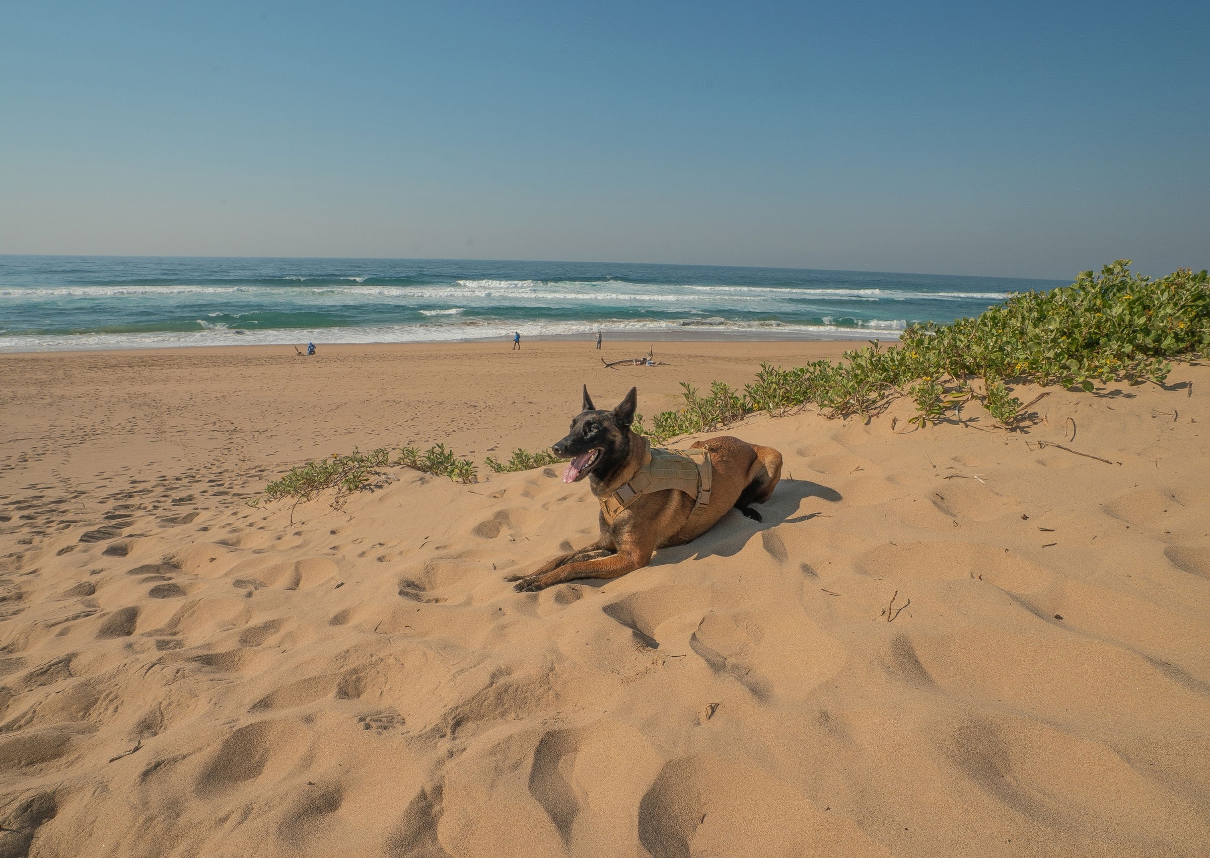 Pet-Friendly Beach Accommodation in Amanzimtoti, KwaZulu-Natal