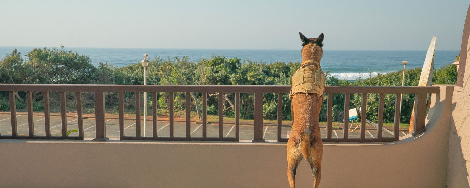 Pet-Friendly Beach Accommodation in Amanzimtoti, KwaZulu-Natal 2