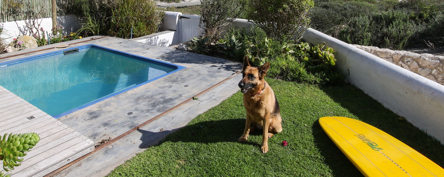 Pet Friendly Beach House Accommodation Paternoster Western Cape
