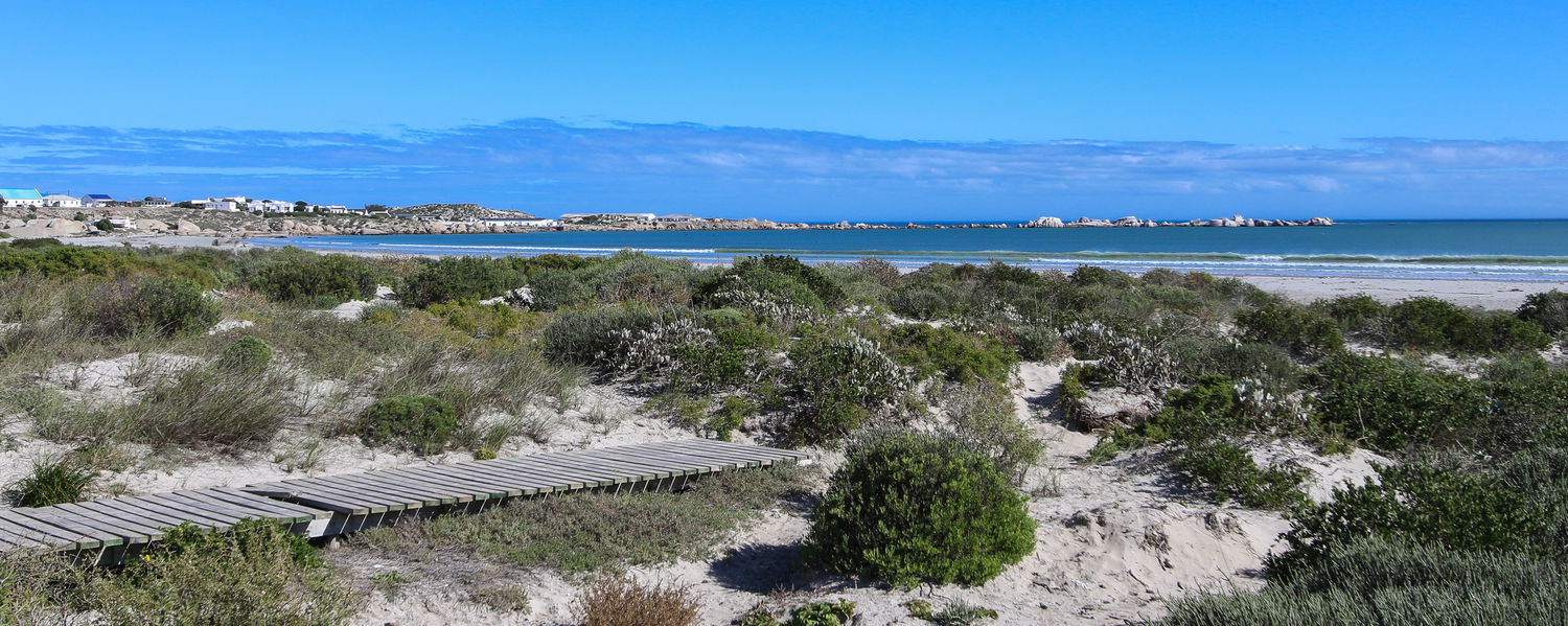 Pet Friendly Beach House Accommodation Paternoster Western Cape