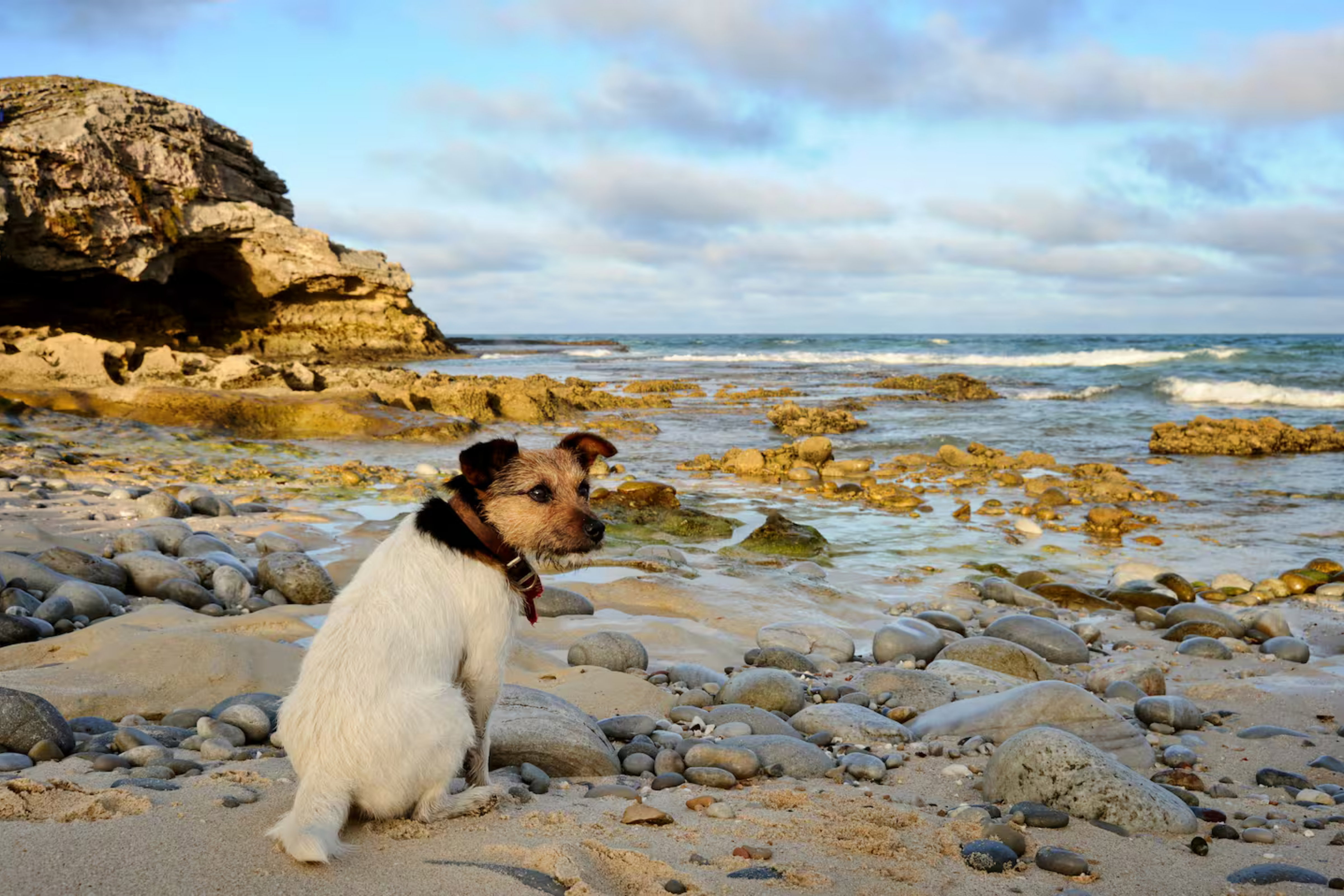 Pet Friendly Beach House Accomodation Arniston Western Cape