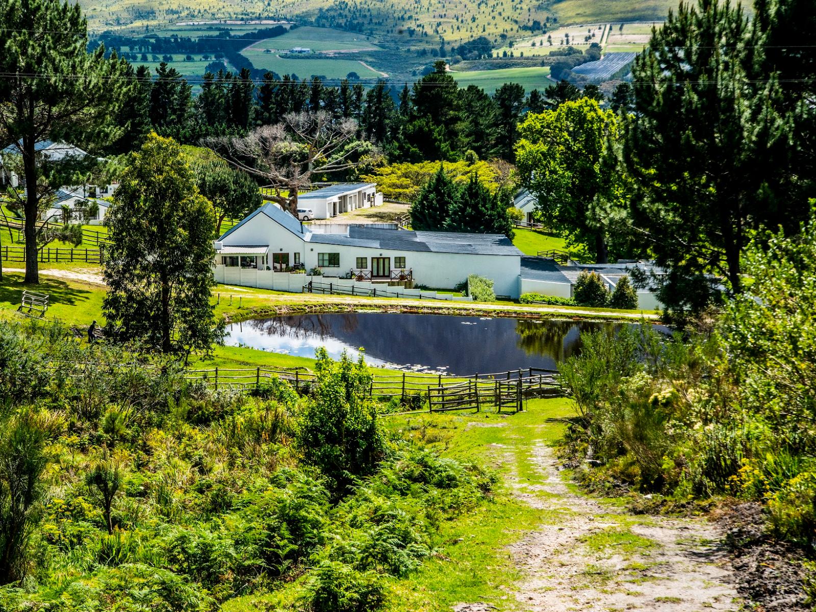 Pet Friendly Farm Accommodation Hermanus Western Cape