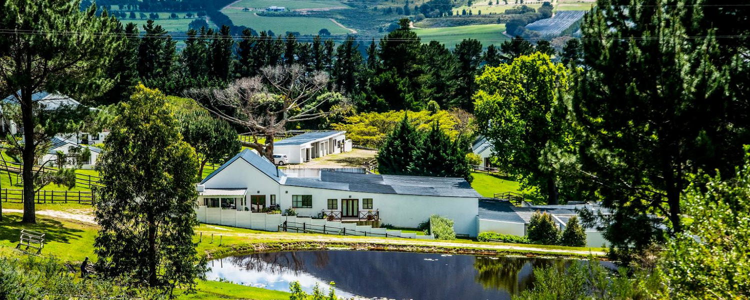 Pet Friendly Farm Accommodation Hermanus Western Cape