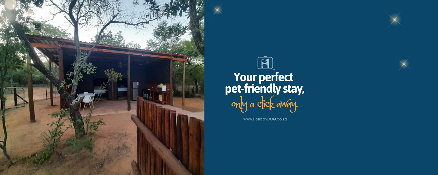 Pet Friendly Fenced Accommodation Bela Bela Gauteng Glamping