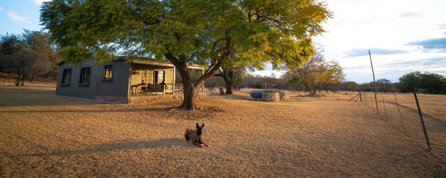 Pet Friendly Limpopo Vaalwater Accommodation Fenced Self Catering