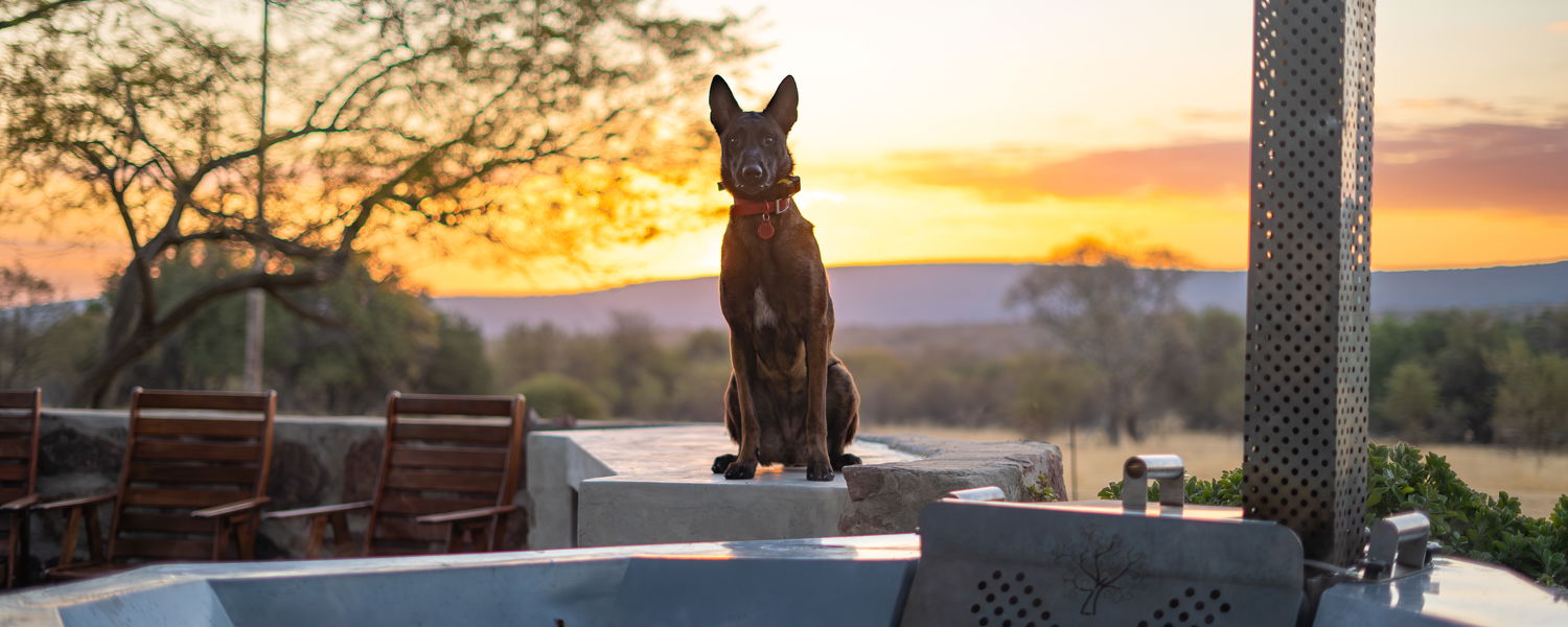 Fenced Pet Friendly Accommodation Vaalwater Limpopo with Hot Tub Self Catering