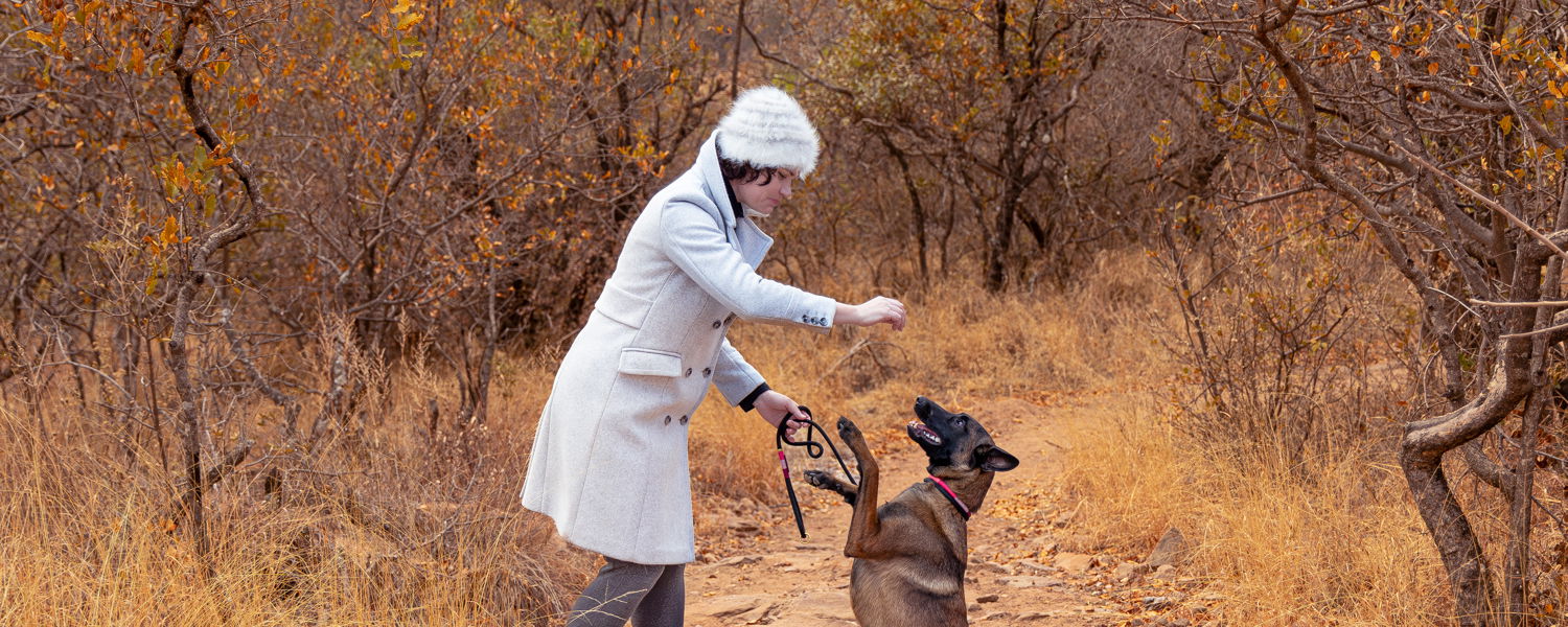 Fenced Pet Friendly Accommodation Vaalwater Limpopo with on lead walking trails