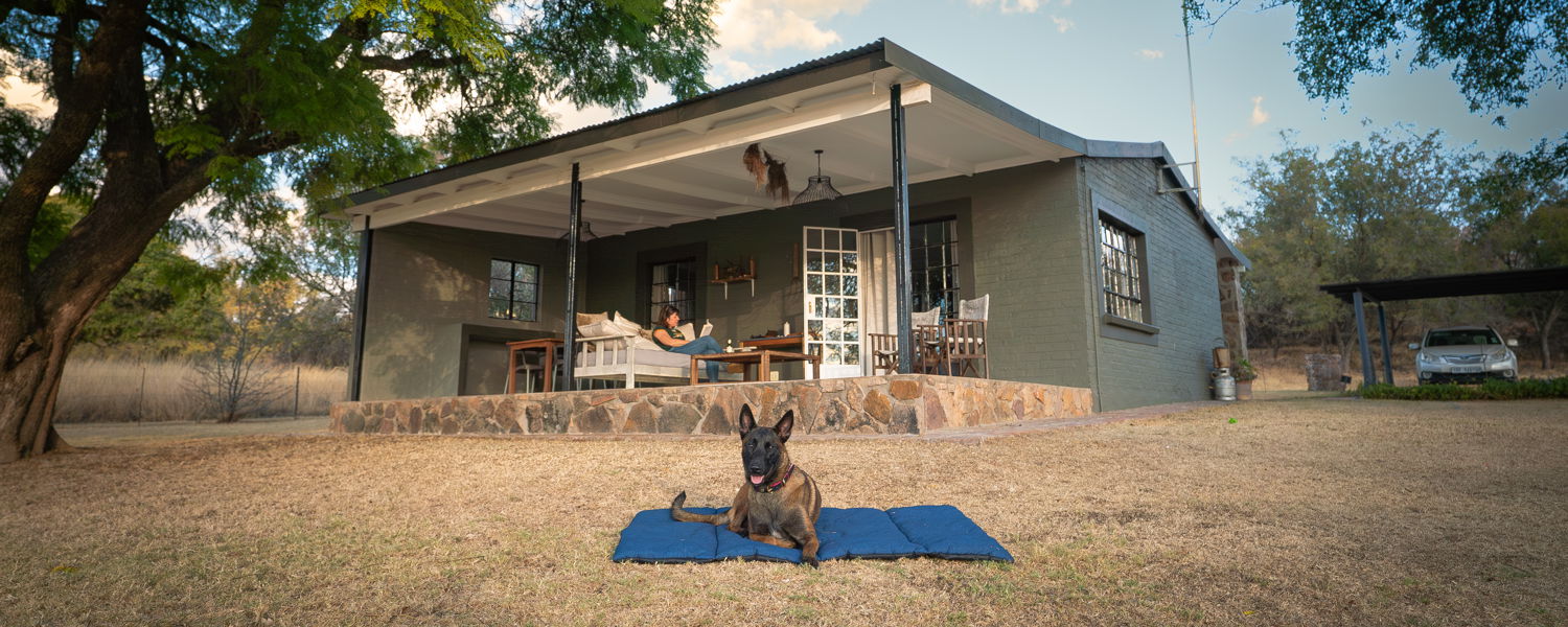 Pet Friendly Accommodation Fenced on Nature Reserve Limpopo Vaalwater 