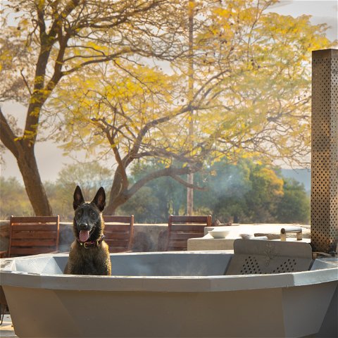 Pet Friendly Accommodation with Hot Tubs