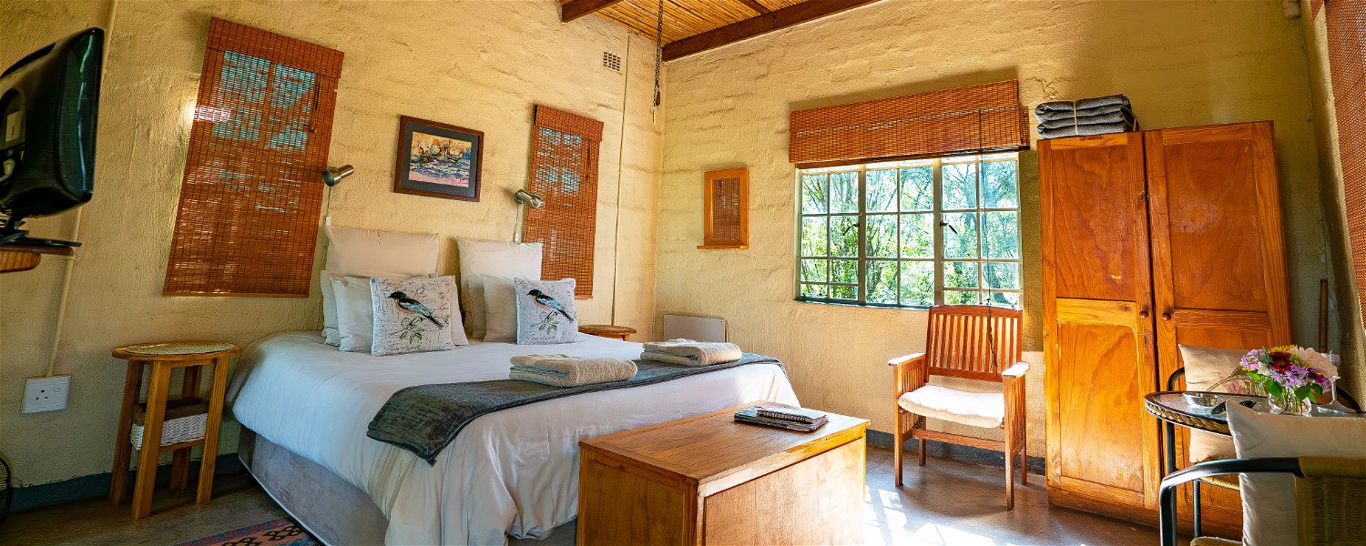 Pet friendly Fenced Self Catering Accommodation Magaliesburg Holiday Dog 