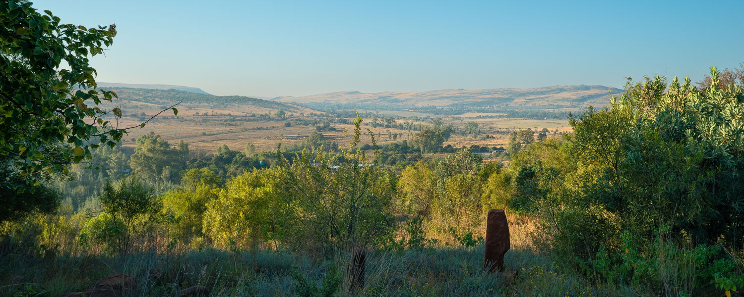Pet friendly Fenced Self Catering Accommodation Magaliesburg Holiday Dog 