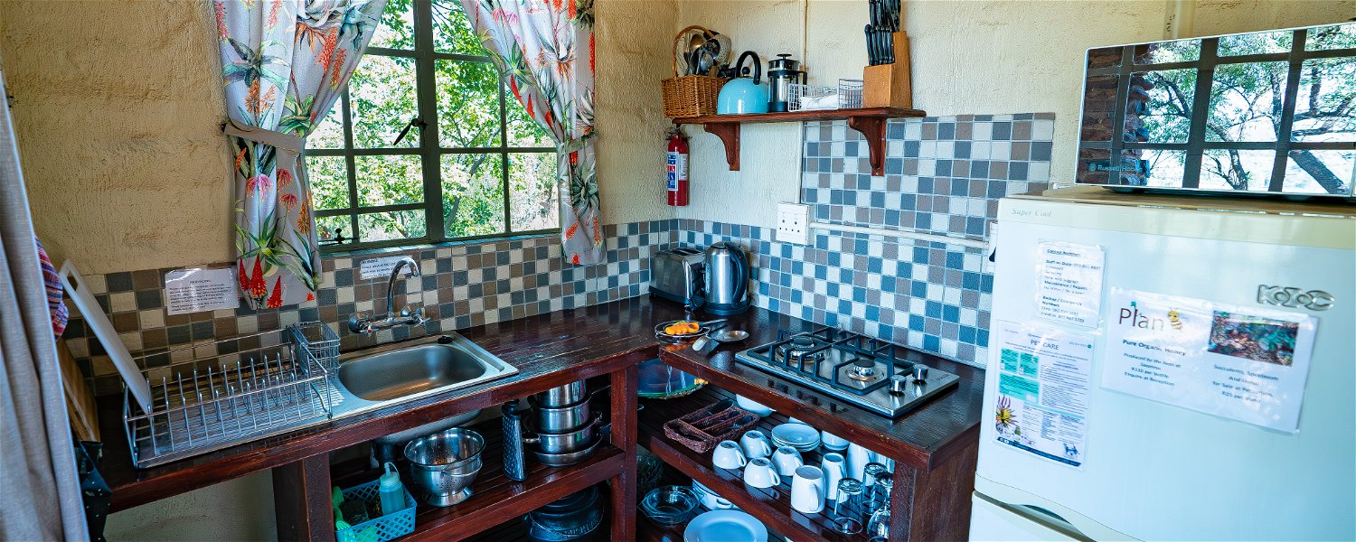 Pet friendly Fenced Self Catering Accommodation Magaliesburg Holiday Dog 