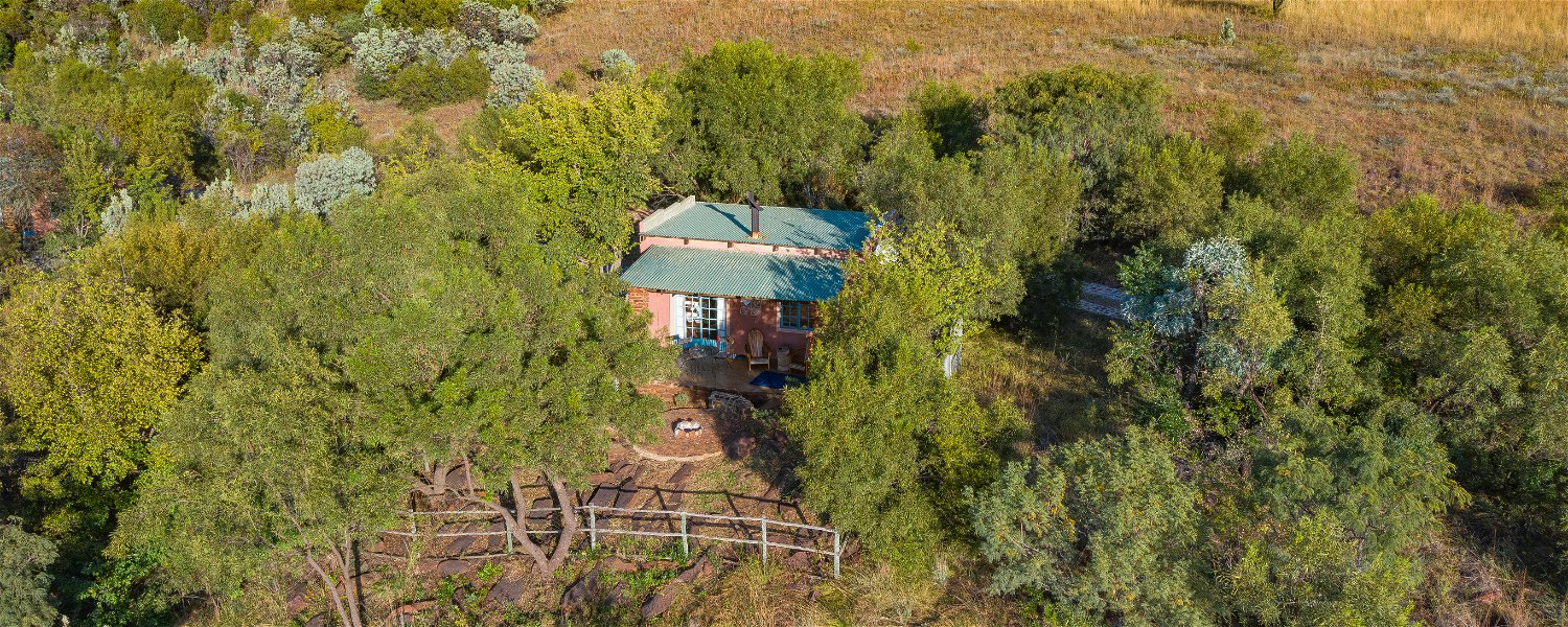 Pet friendly Fenced Self Catering Accommodation Magaliesburg Holiday Dog 