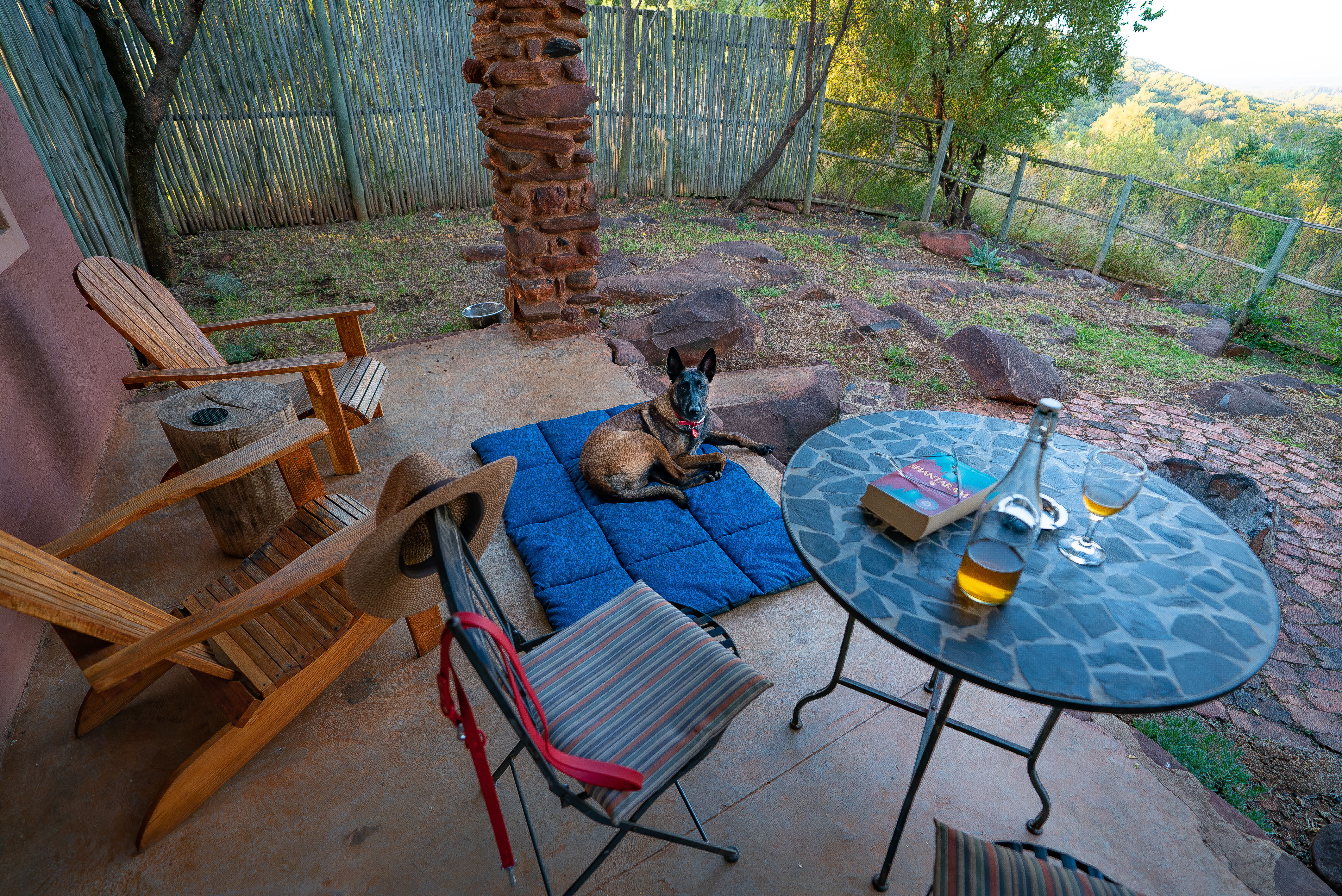 Pet friendly Fenced Self Catering Accommodation Magaliesburg Holiday Dog