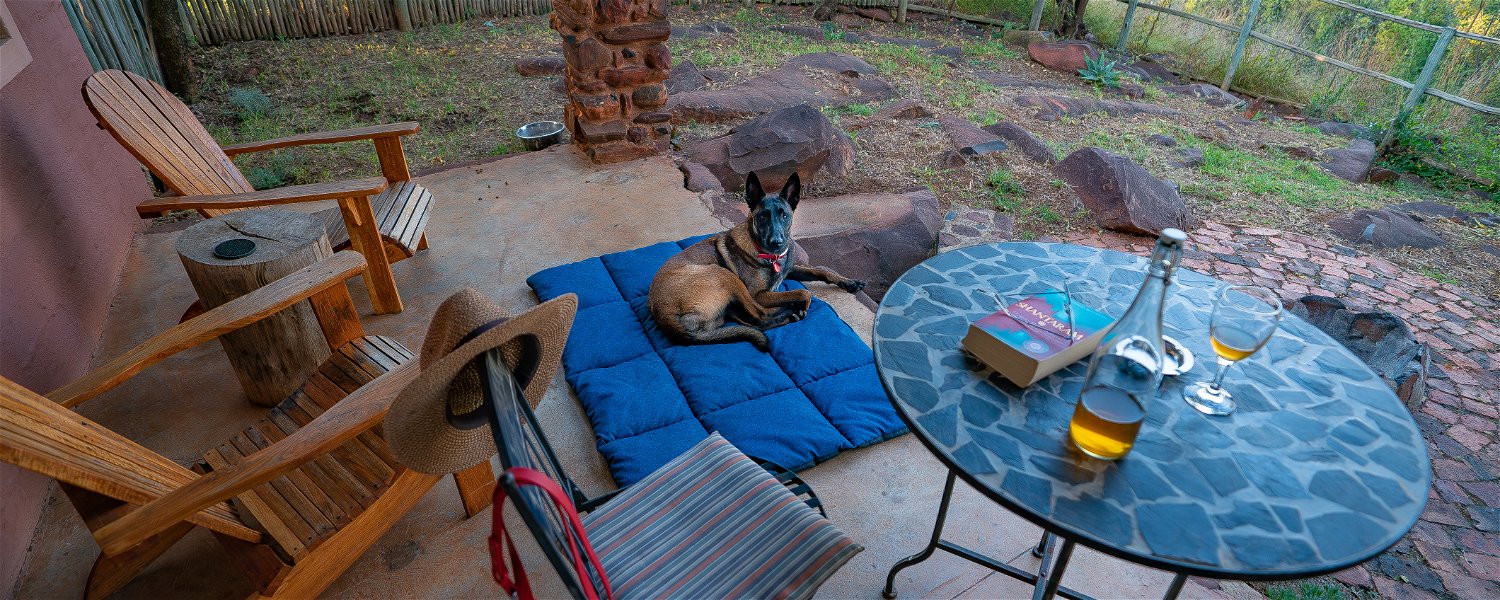 Pet friendly Fenced Self Catering Accommodation Magaliesburg Holiday Dog