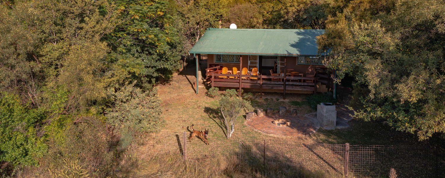 Pet friendly Fenced Self Catering Accommodation Magaliesburg Holiday Dog 
