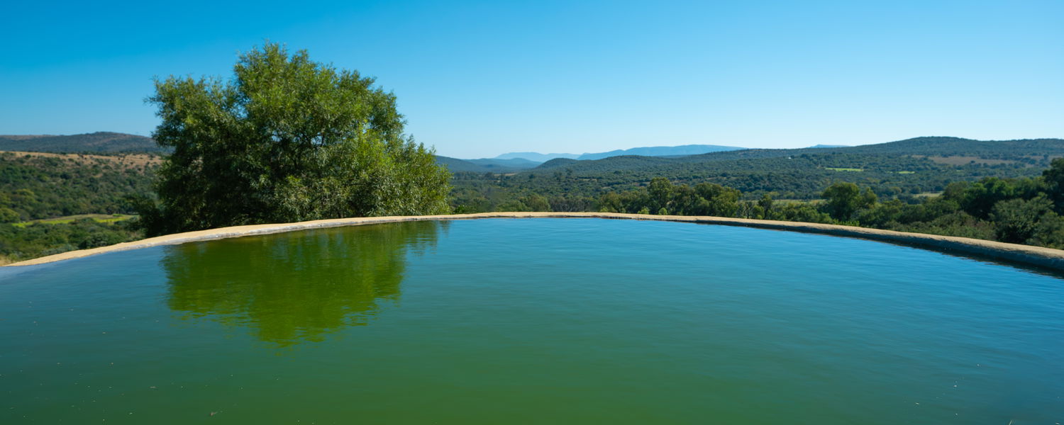 Red Earth Farmhouse Pet Friendly Accommodation HolidayDOG Magaliesburg Gauteng 
