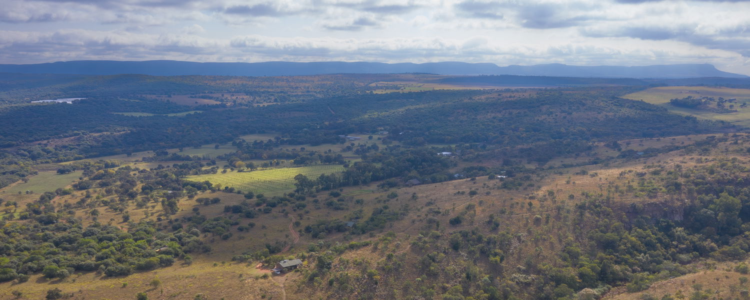 Red Earth Farmhouse Pet Friendly Accommodation HolidayDOG Magaliesburg Gauteng 