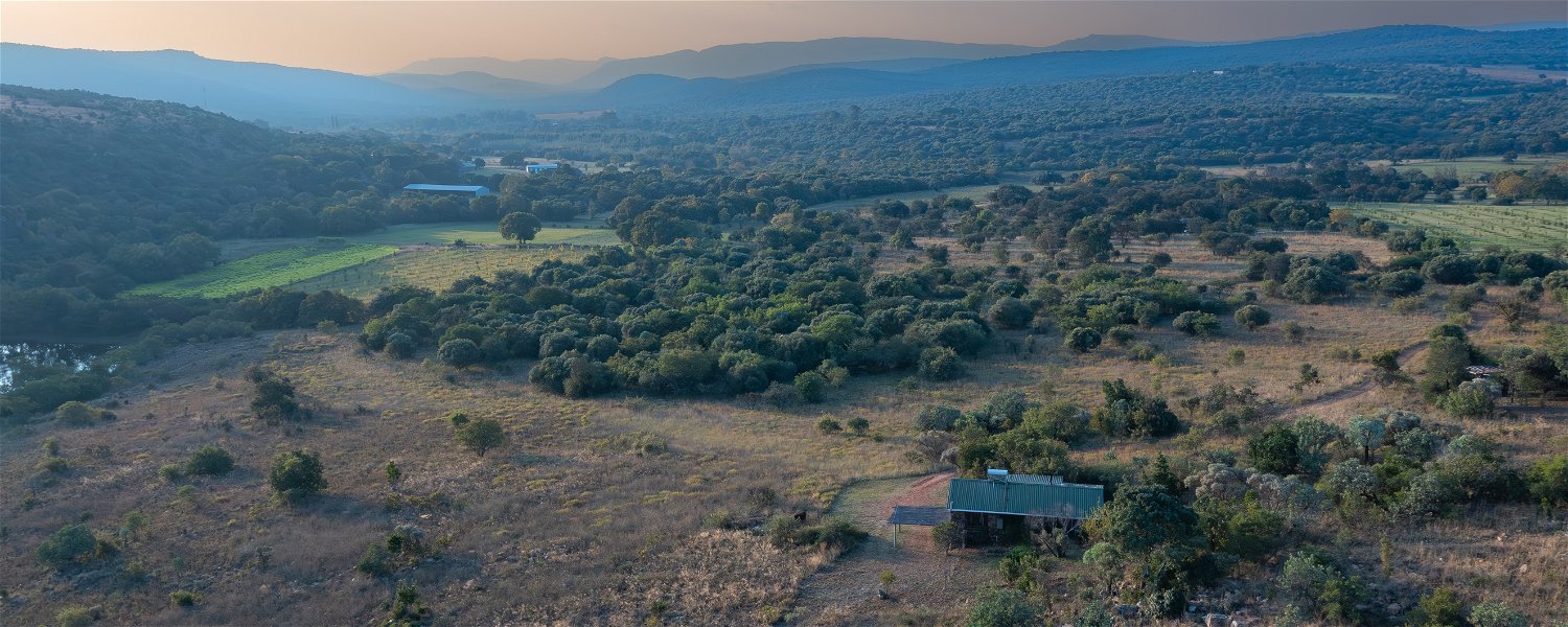 Pet Friendly Fenced Accommodation Magaliesburg 