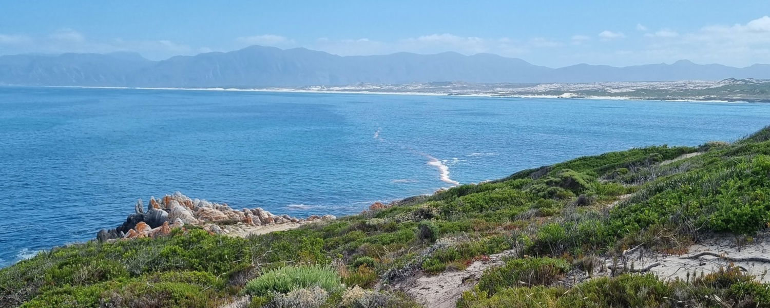 Pet Friendly Self Catering Accommodation Stanford Western Cape