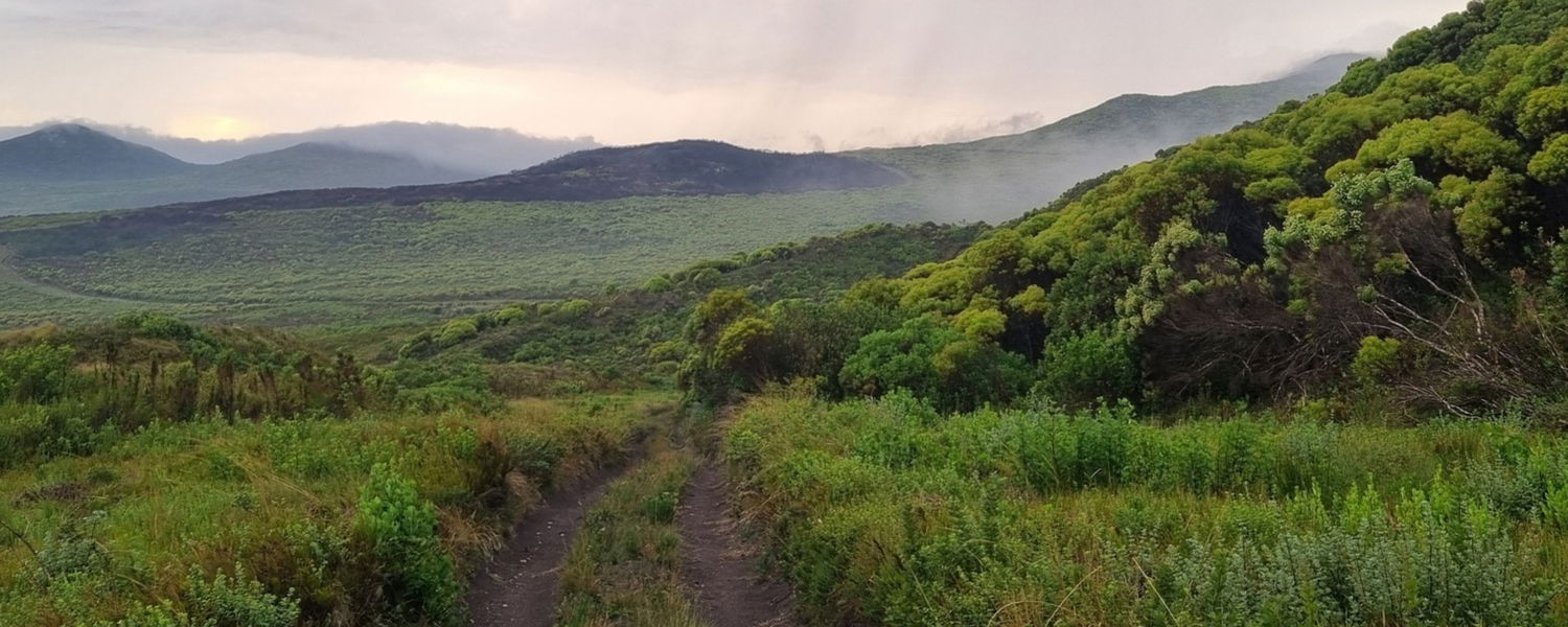 Pet Friendly Self Catering Accommodation Stanford Western Cape