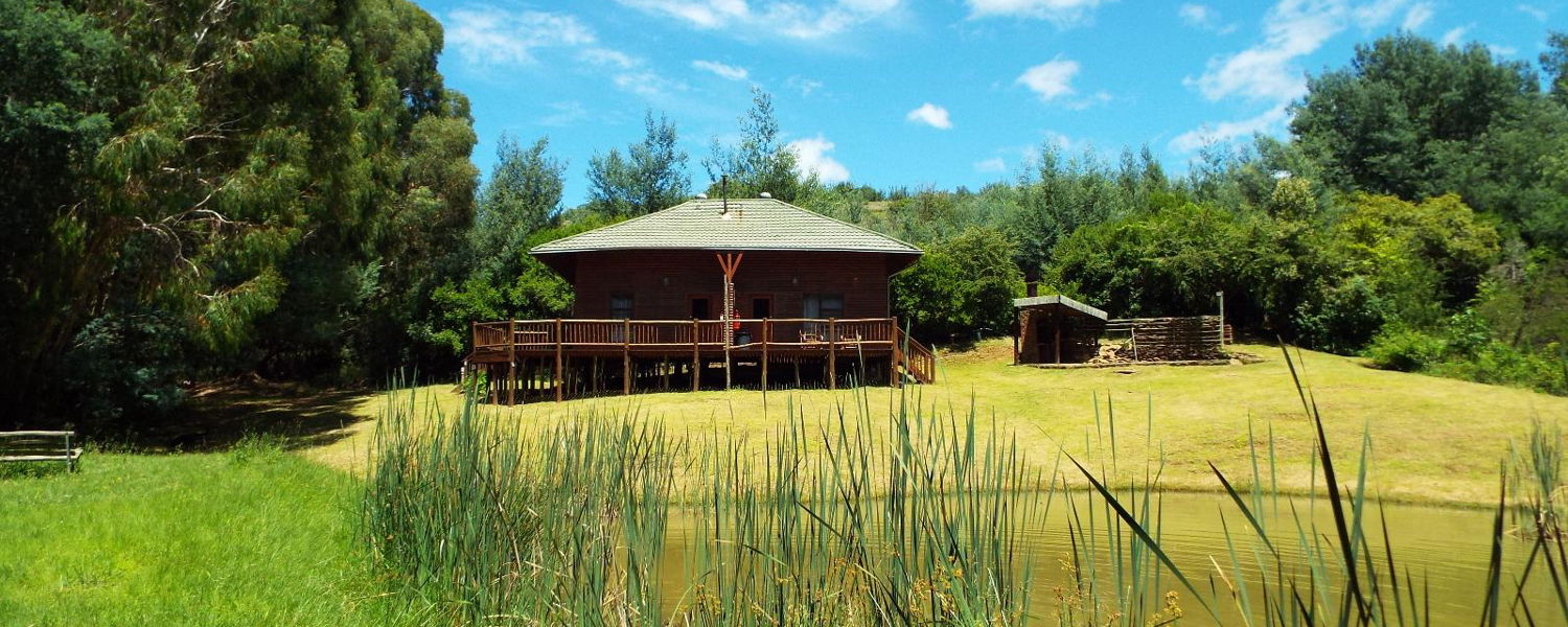 Pet Friendly Accommodation Waterval Boven