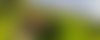 Pet friendly accommodation in Stanford for the whole family