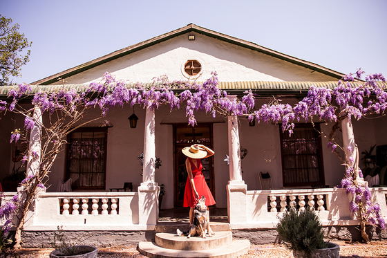 luxury pet-friendly accommodation in Nieu-Bethesda luxury pet-friendly accommodation in Nieu-Bethesda