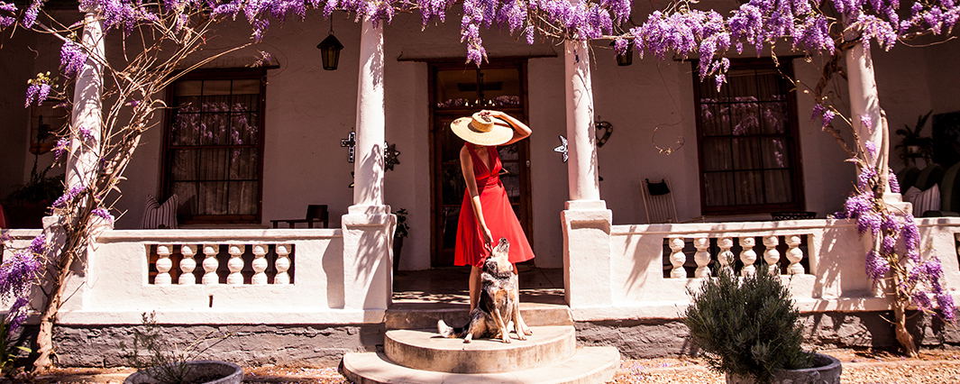 luxury pet-friendly accommodation in Nieu-Bethesda