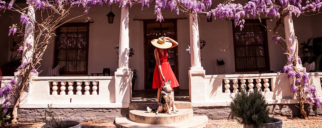 luxury pet-friendly accommodation in Nieu-Bethesda