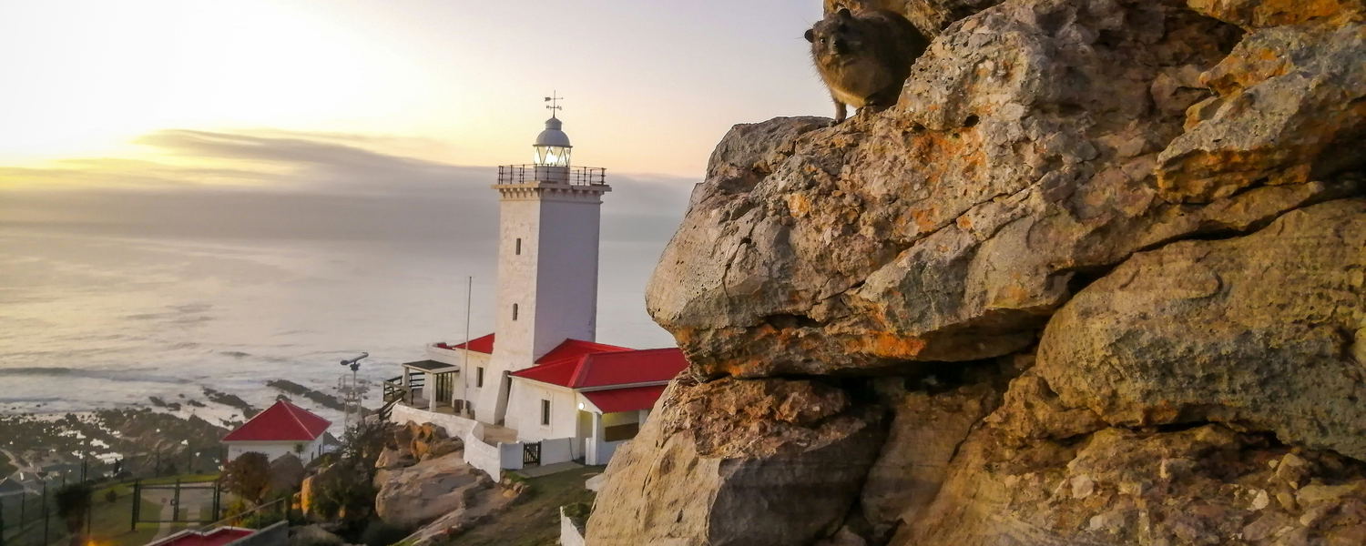 Pet Friendly Self Catering Fenced Accommodation Mossel Bay