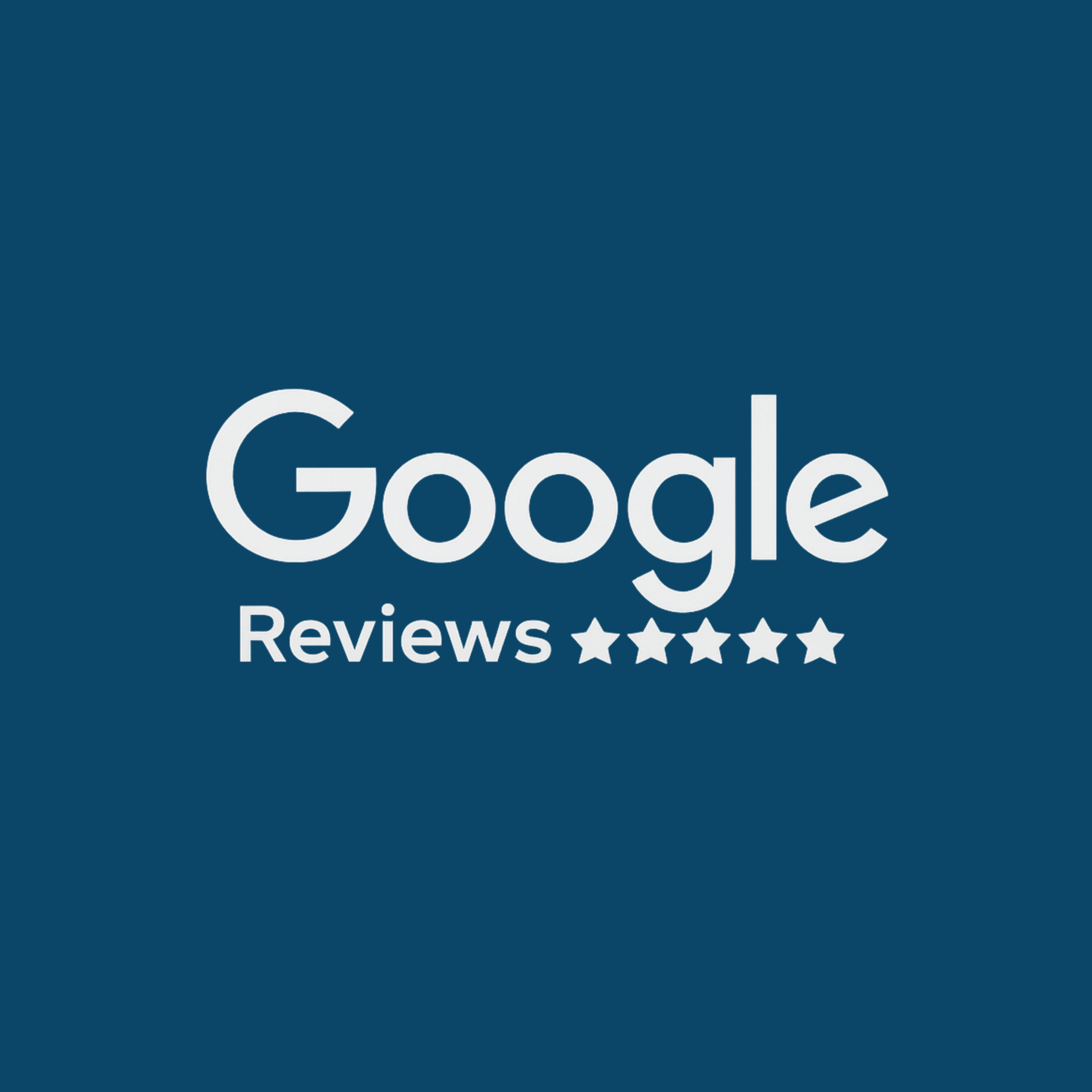 HolidayDOG Google Review