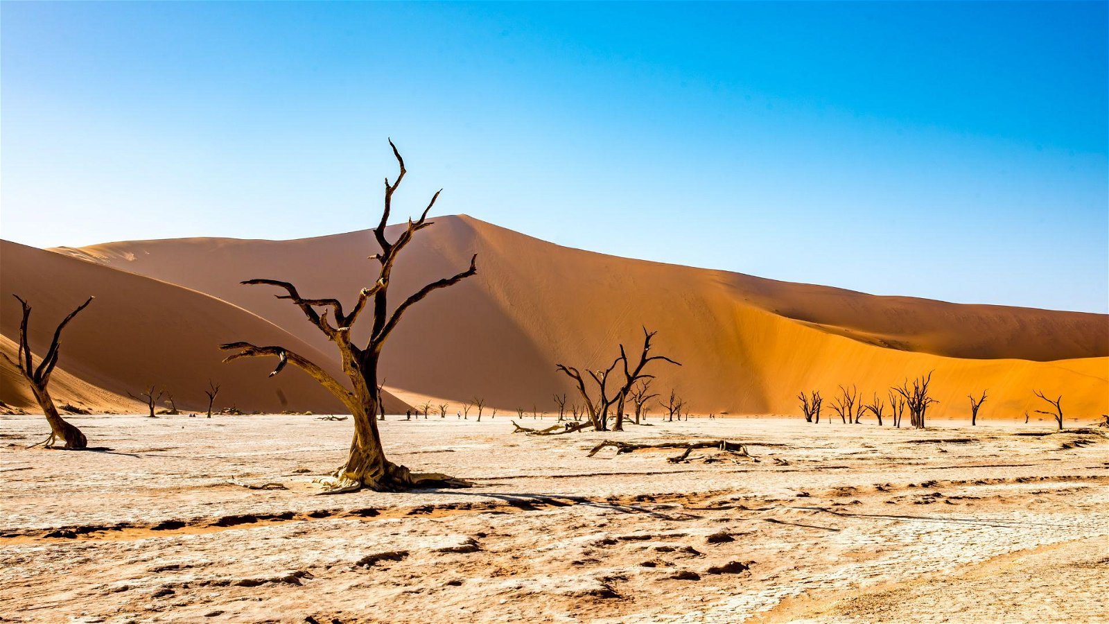 Namibia