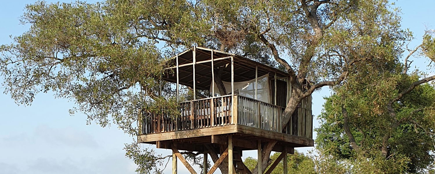 image showing hide out tent on safari with gonana south african travel