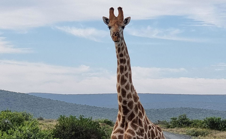 Kruger National Park