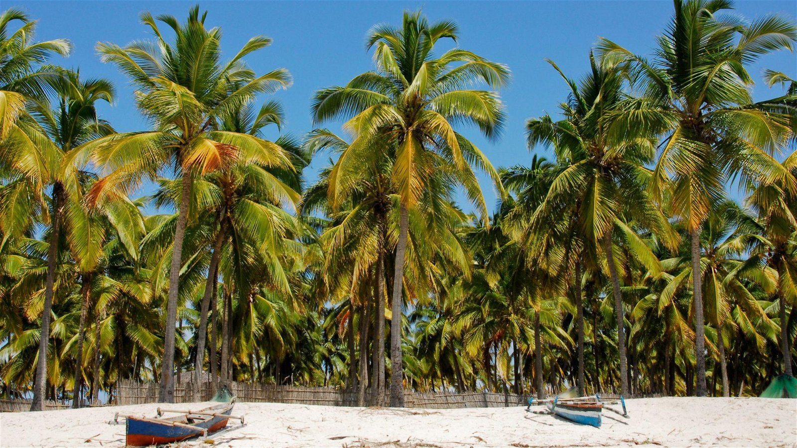 Mozambique
