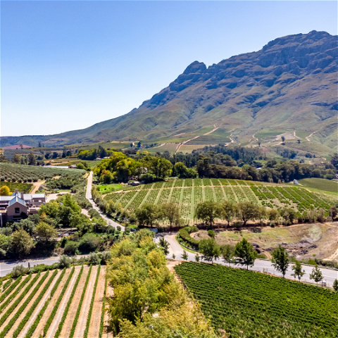 Image showing Cape Winelands in Banhoek Valley outside of Stellenbosch with Gonana Travel
