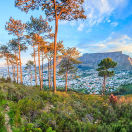 Image showing Cape Town city from Signal Hill with Gonana South African Travel Image showing Cape Town city from Signal Hill with Gonana South African Travel
