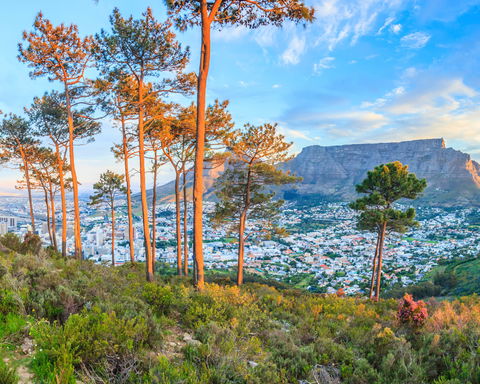 Image showing Cape Town city from Signal Hill with Gonana South African Travel 