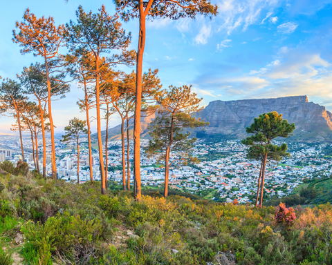 Image showing Cape Town city from Signal Hill with Gonana South African Travel