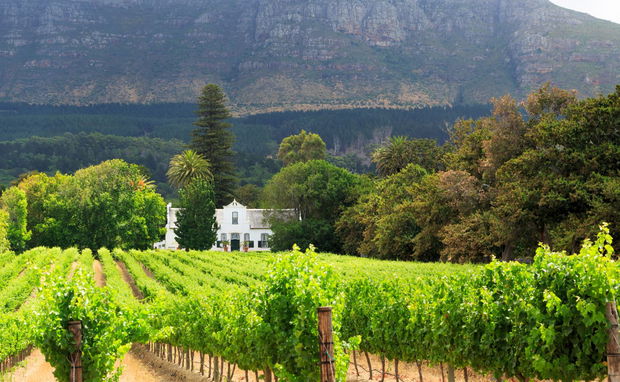 Image showing winelands farm tour in Stellenbosch with Gonana Travel