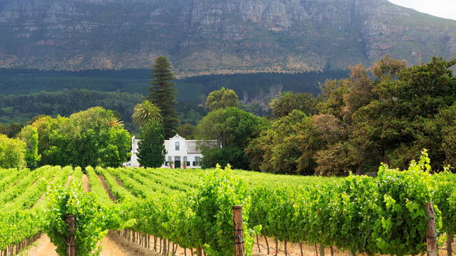 Image showing winelands farm tour in Stellenbosch with Gonana Travel