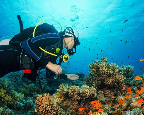 Diving Tofo Beach