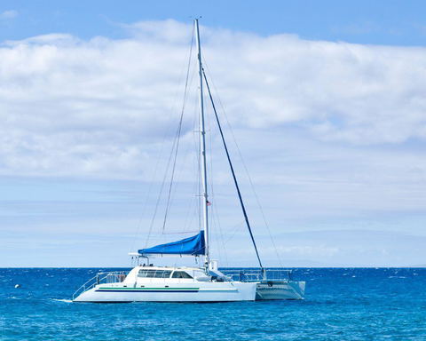 Catamaran Cruise