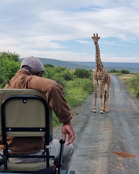 Safari Journeys